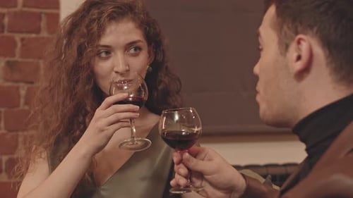 Fantaisie jeune couple clinquant des verres de vin rouge tout en parlant