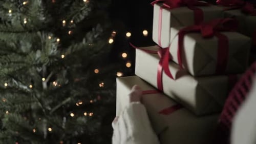 Walking Hold Weihnachtsgeschenk für Damen