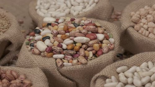 Burlap Sacks Full of Colorful Dry Beans