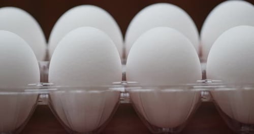 Pack of the chicken egg