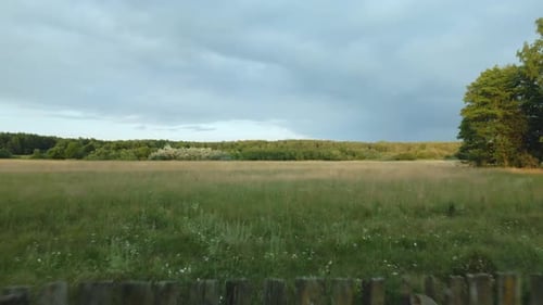 Flight Over An Old Wooden Fence. Along A Grassy Meadow. At A Low Altitude. Aerial Photography.