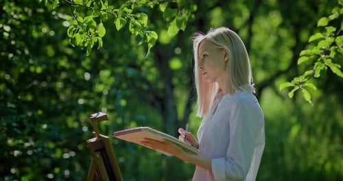 Drawing on the Nature