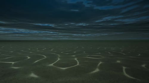 Bottom Of The Ocean