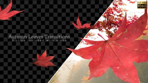 Herbst-Übergänge