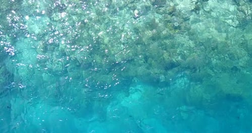 Natural overhead copy space shot of a paradise sunny white sand beach and turquoise sea background i