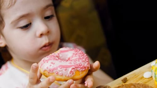 The Girl Eats Donuts