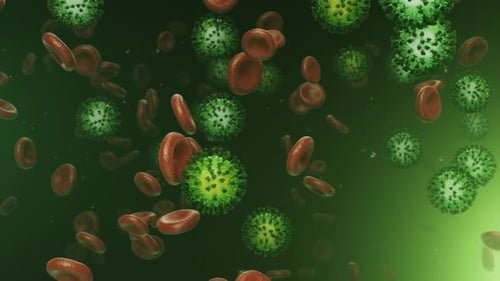 Animated Red Blood Cells and Virus Particles Flowing