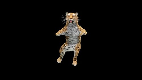 3D Animated Dancing Tiger Cub Character Loop