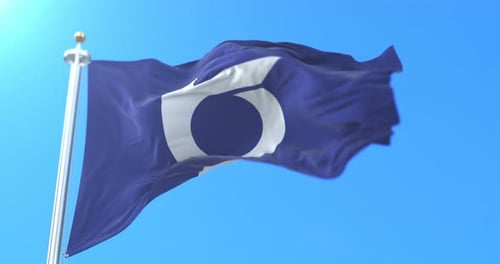 Waving Blue Flag with White Abstract Symbol Animation