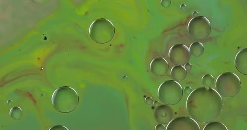 Colorful Bubbles Floating on Green Abstract Liquid