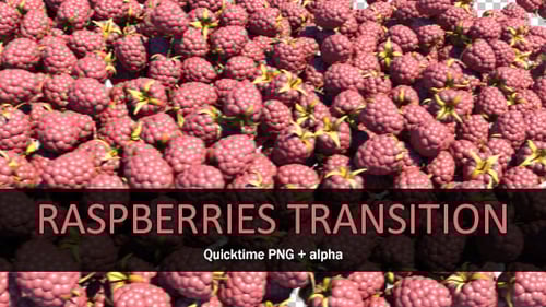 3D Raspberries Filling Screen Animation