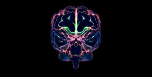 Animated Human Brain with Glowing Neural Activity