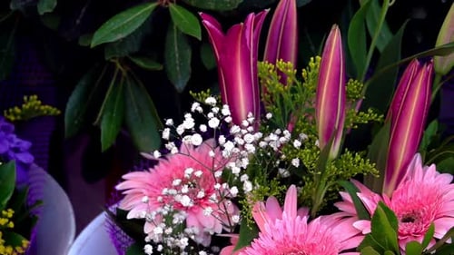 Vivid Floral Arrangements in Close-Up View