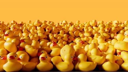Animated Yellow Rubber Ducks Floating with Orange Background