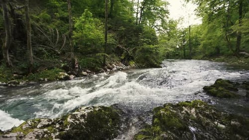 Fresh Water in the River and Waterfall 03