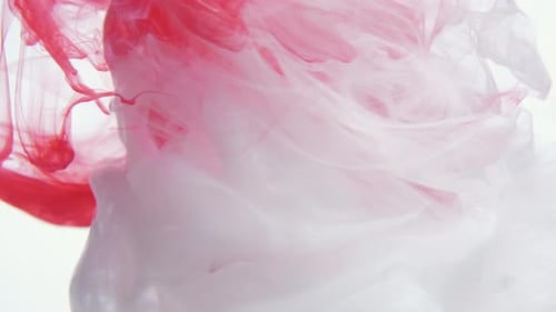 Abstract Red and White Ink Swirls