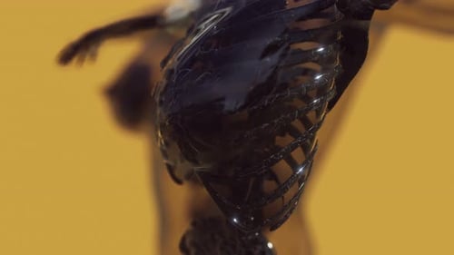 Futuristic Human Anatomy Scan of Rib Cage and Spine