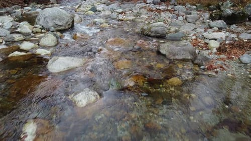 Autumn mountain river flow, fall forest trees foliage aerial view