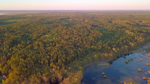 Beautiful View of the Picturesque Winding River Surrounded By Forest at Sunset