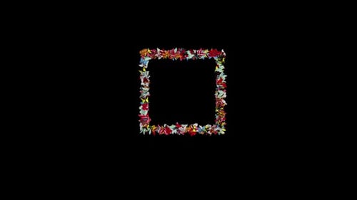 Butterfly Gather And Form Square Frame 8k