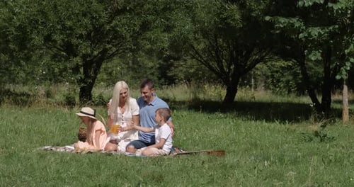 Family Enjoying a Summer Picnic in Grassy Meadow