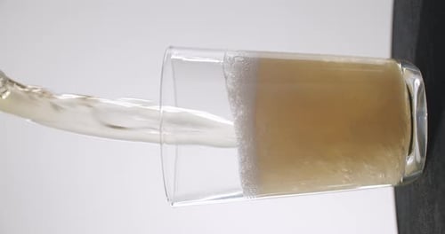 Close up shot of beer getting poured fast into a glass. White background, 50fps, vertical video.