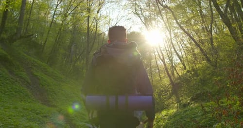 Man Hiking Through Sunny Forest with Backpack