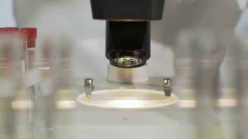 Medical Scientist Viewing Samples Under Microscope, Laboratory Research
