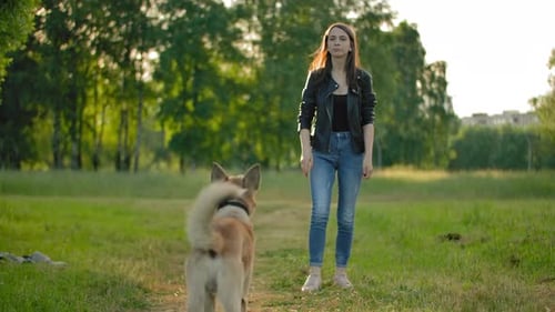 Woman Plays Fetch with Dog in Park