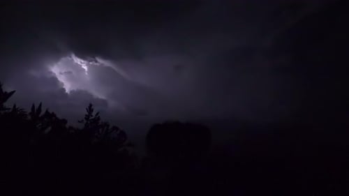 Lightning Night Silhouettenbaum