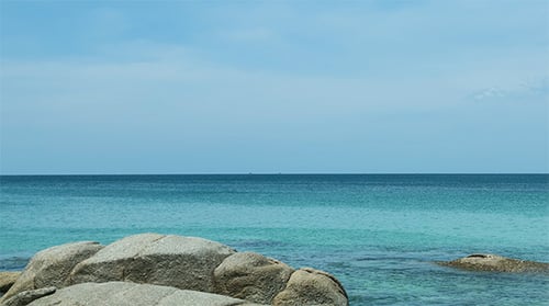 Rocky Shore
