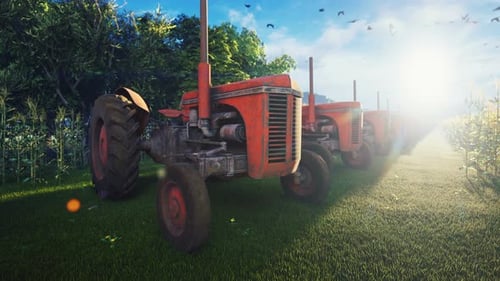 Vintage Red Tractors Parked in a Sunny Green Field