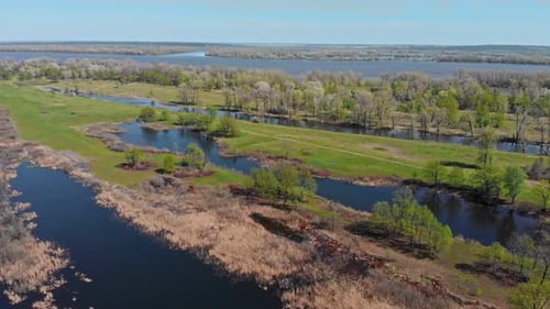 View of a Green Flooded Field with Water