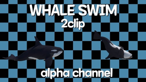 Wal Alpha 2clip