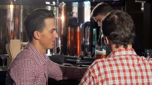 Young Men Enjoying a Drink at a Bar