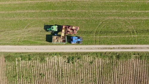 Top down shot at a potatoe collecting worker which is walking through his green and blue tractors. C