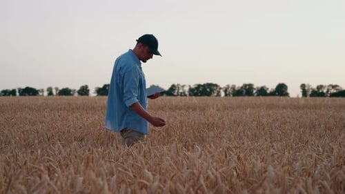 Farmer Using Tablet Inspecting Wheat Field