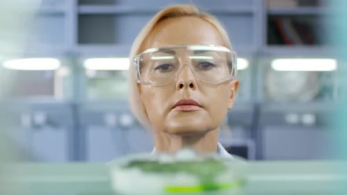 Scientist Analyzing Chemical Process
