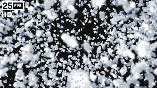 Snow Transition HD 8er Pack