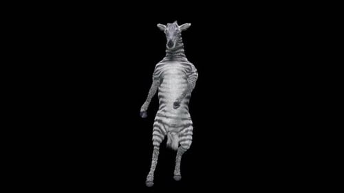 Funny Dancing Zebra 3D Character Animation Loop