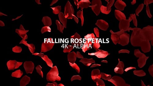 Animated Falling Red Rose Petals for Romantic Occasions