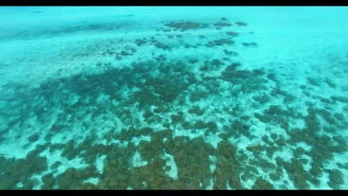 Aerial drone landscape of idyllic bay beach holiday by aqua blue ocean with white sand background of