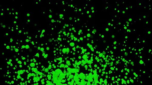 Gotas de pintura verde que salpica en cámara superlenta