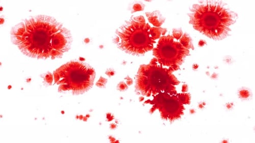 Blood Drops Splatter on White Background