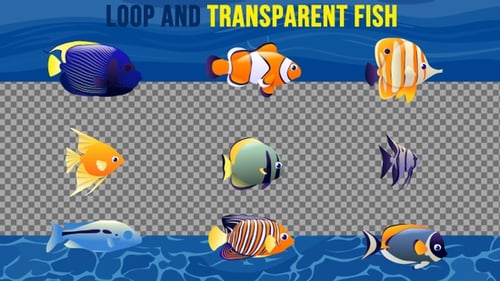 Looping Animated Fish Collection with Transparent Background