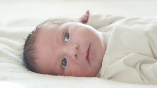 Close-up portrait of a young baby who has recently been born.