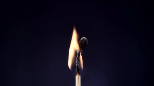 Matchstick Burning Till the End and Finally Disappears From the Frame. Slow Motion