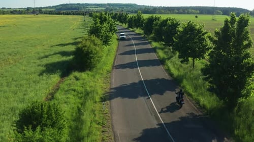 Motorcyclist Rides Past Green Plantation Aerial View