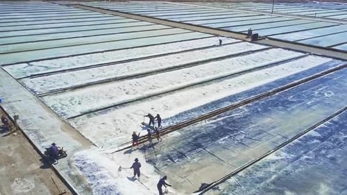 People Gather Salt To Heaps on Field Sides with Shovels