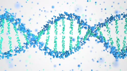 Molécule d'ADN